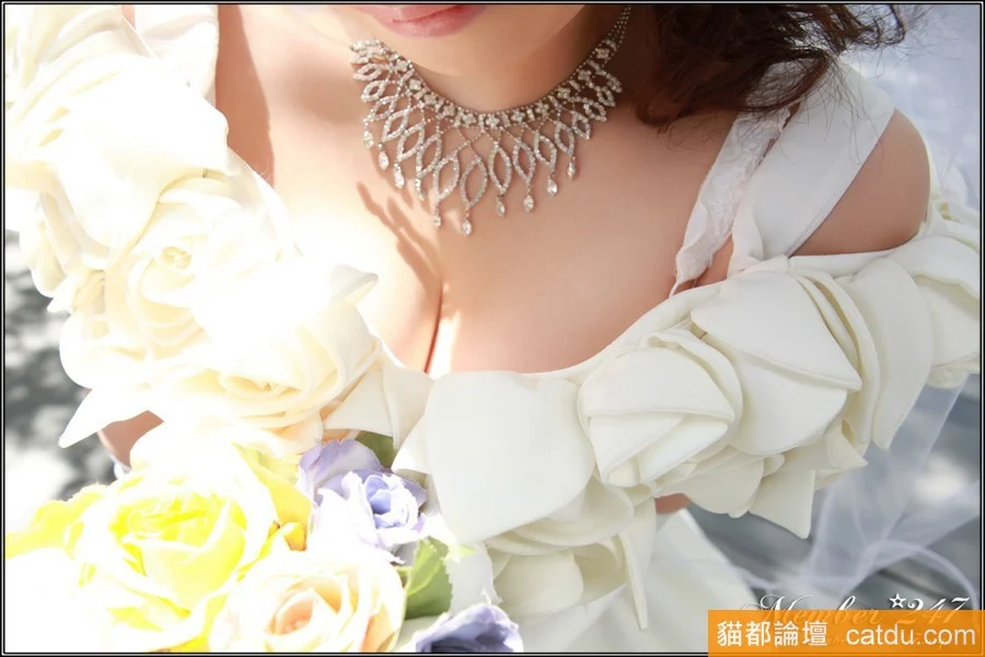 7.webp