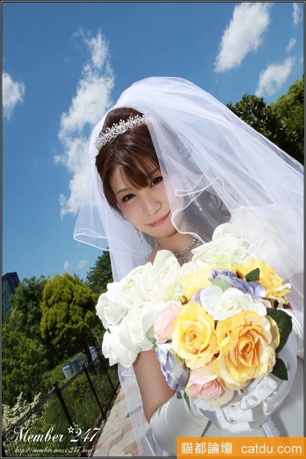33.webp